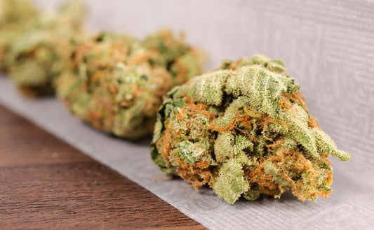 Zoom sur la fleur CBD Juicy Fruit