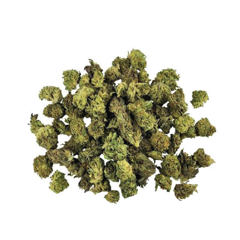 Petites fleurs de CBD AMNESIA Greenhouse