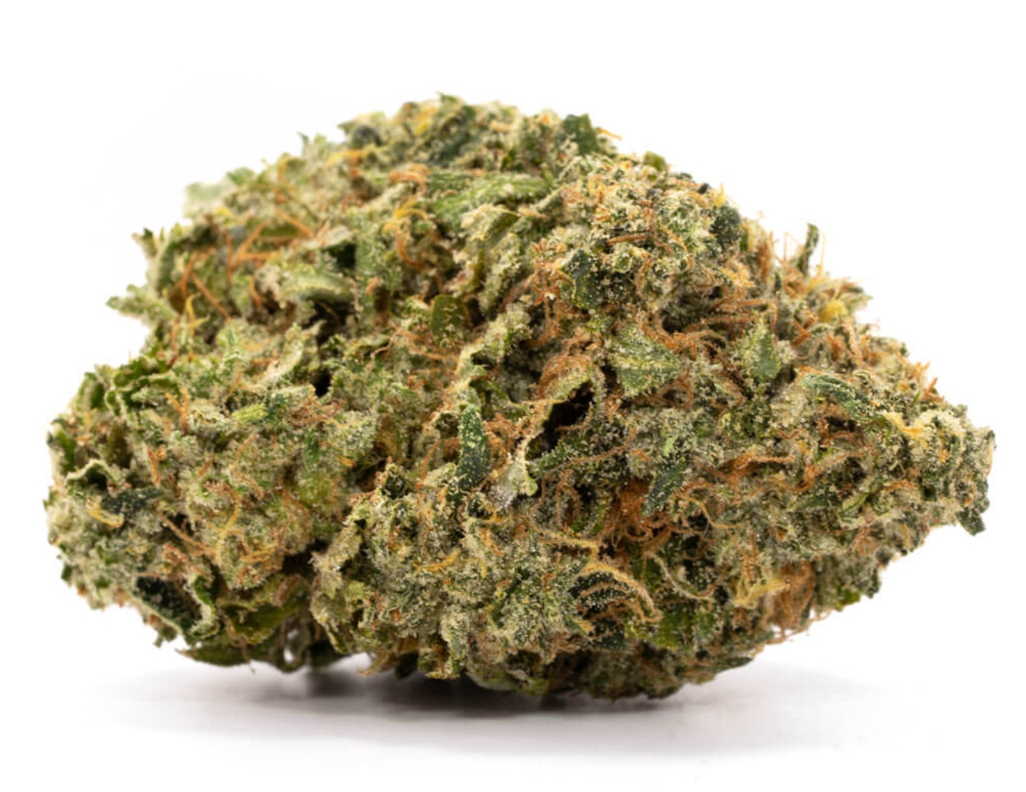 Buds CBD Bubba Kush cultivée en France