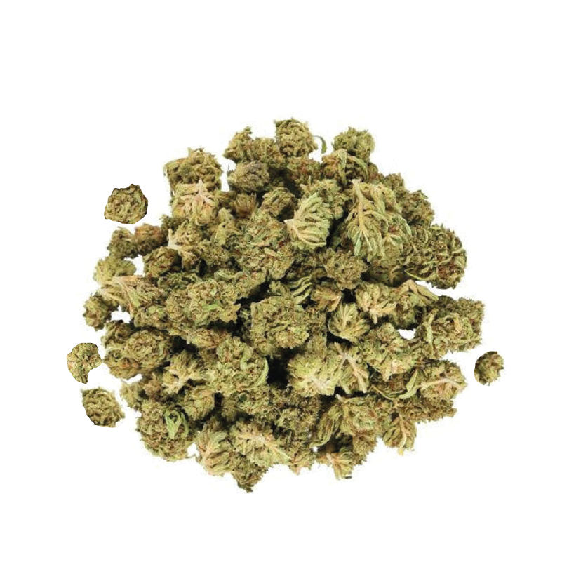 Petites fleurs de CBD GELATO Greenhouse