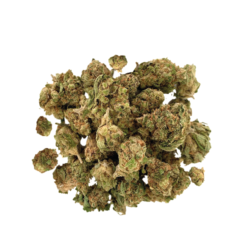 Petites fleurs de CBD HARLEQUIN Indoor