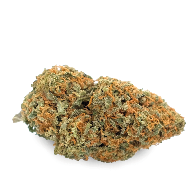 Fleurs CBD ORANGE BUD Indoor
