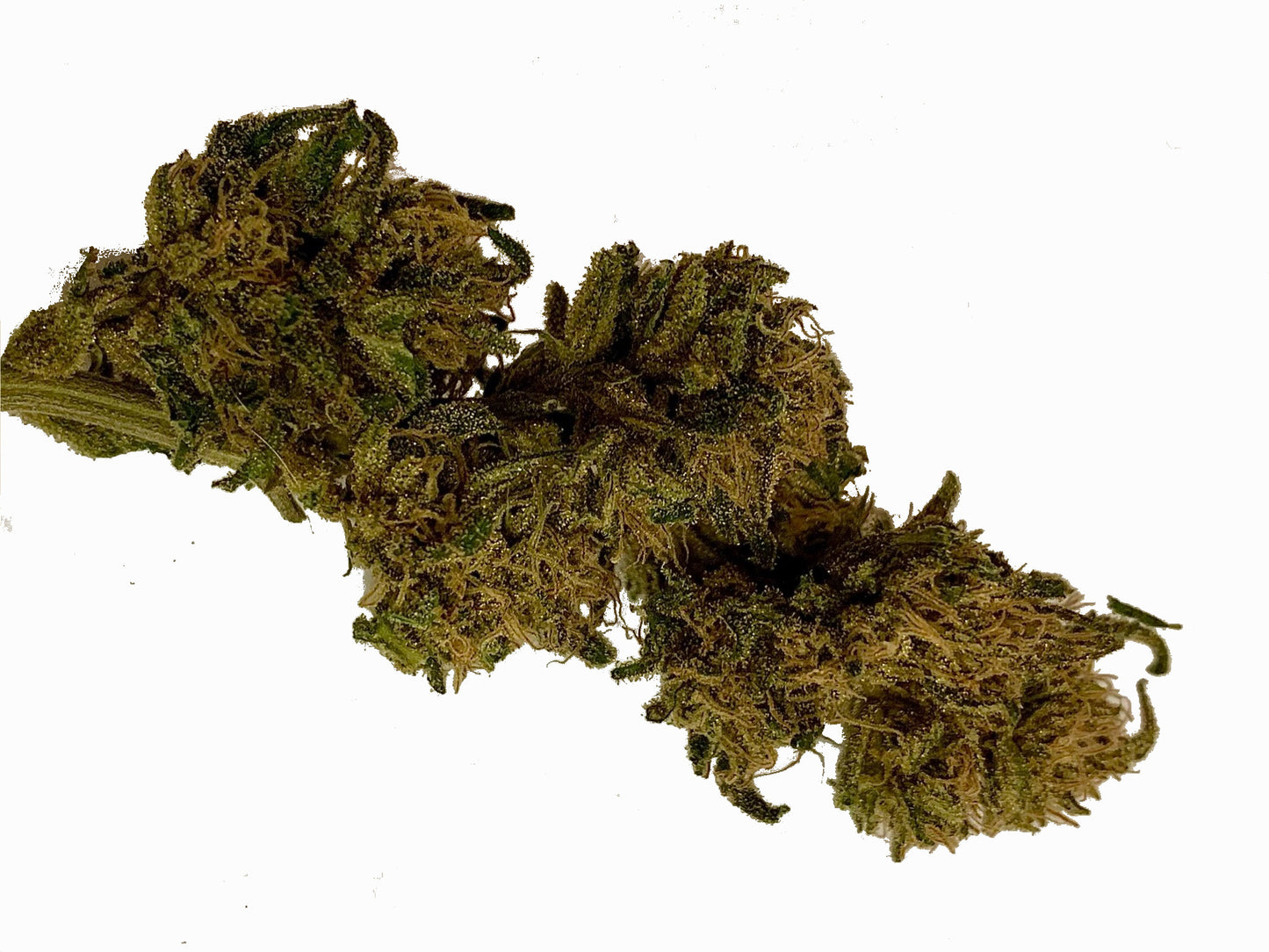 Peach Goliath CBD – Culture Permaculture