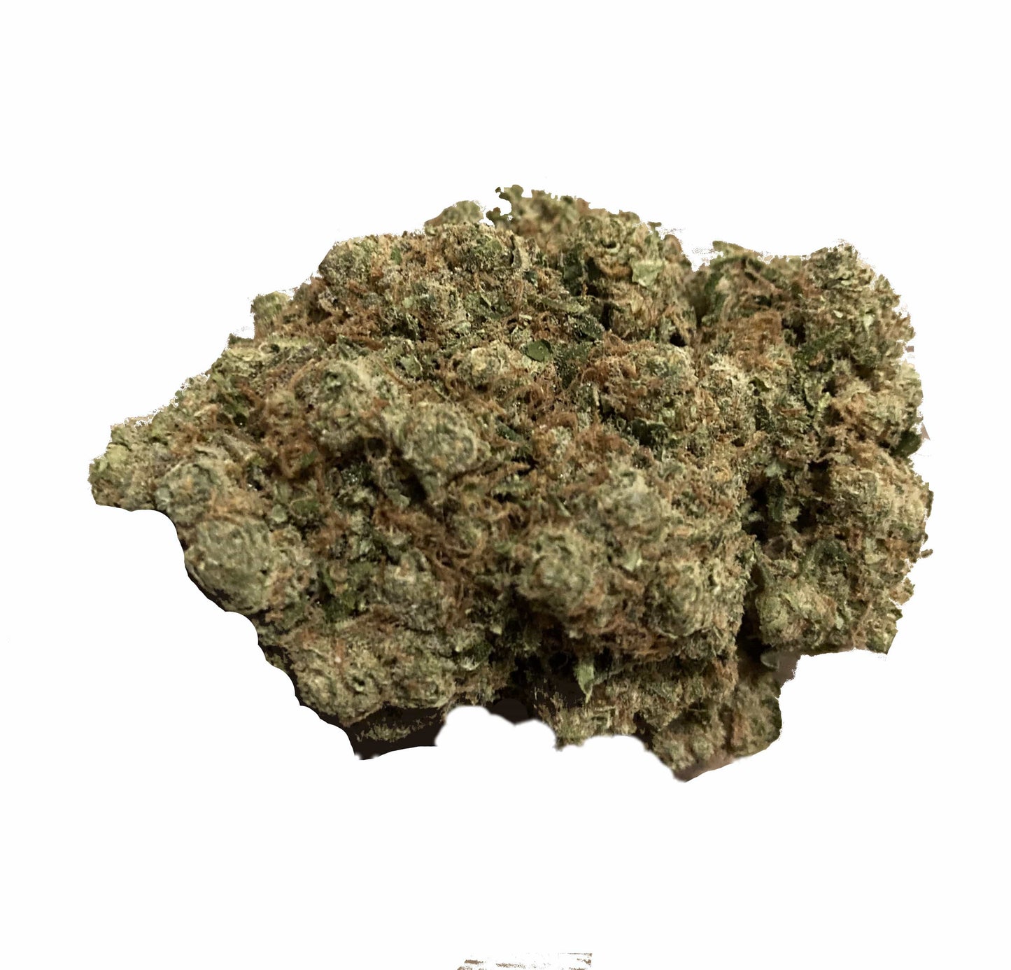 Amnésia Hydroponique CBD – Qualité Suisse Premium
