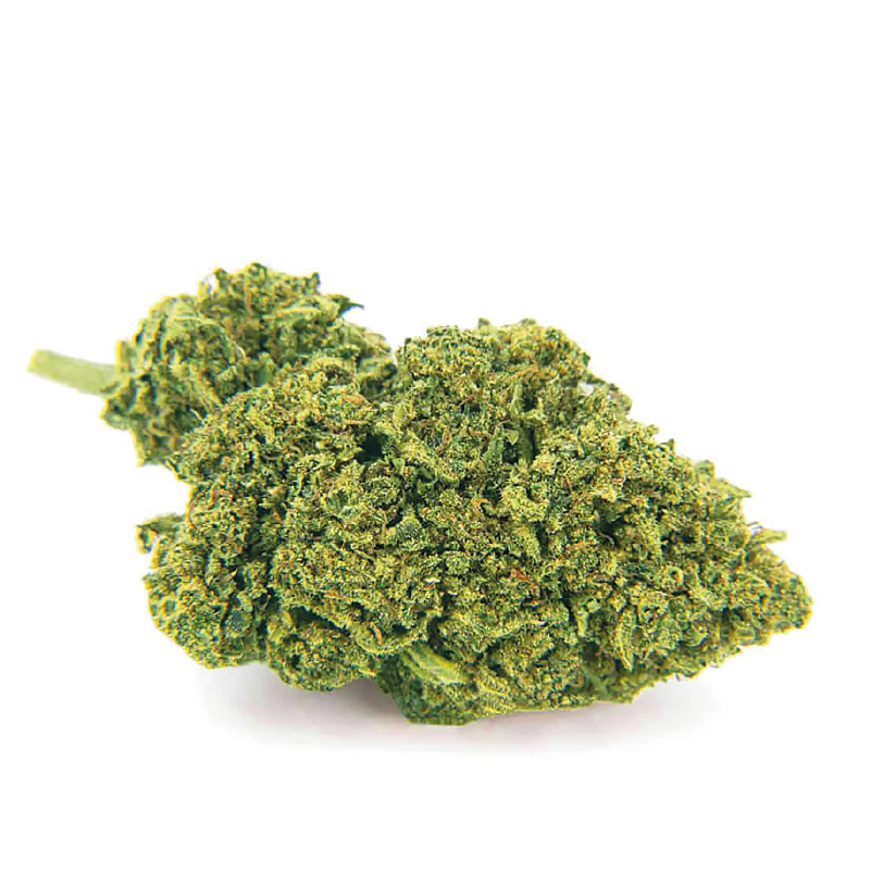 Fleurs CBD TROPICANA HAZE Indoor