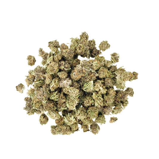 Petites fleurs de CBD WHITE WIDOW Greenhouse