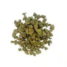 Lemon haze CBD Pops greenhouse