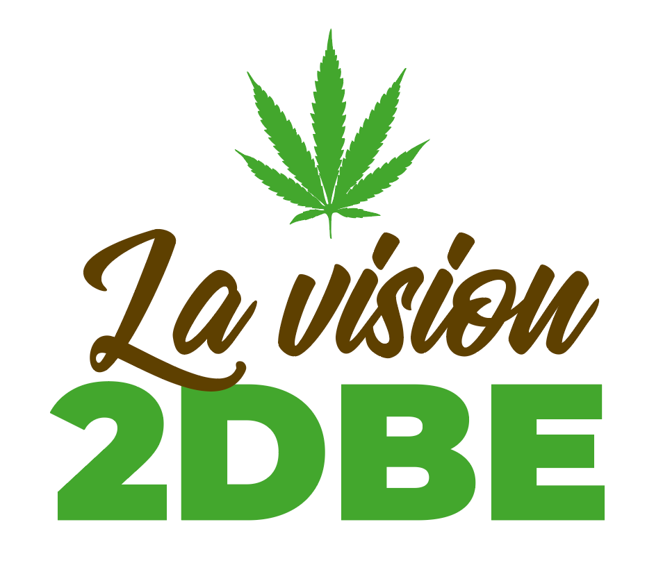 La Vision 2DBE