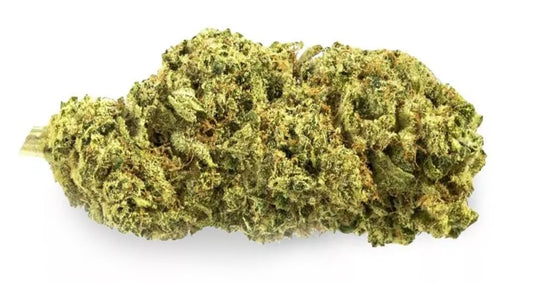 AK47 CBD Buds Greenhouse