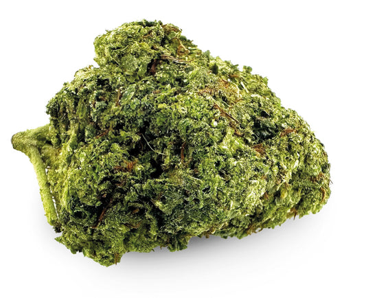 Critical CBD Buds Greenhouse